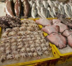 שוק הדגים של בטומי – ים רדוד - 10