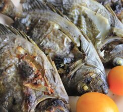 שוק הדגים של בטומי – ים רדוד - 4