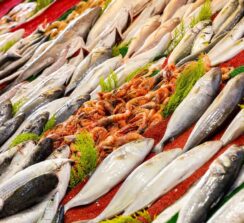 שוק הדגים של בטומי – ים רדוד - 5
