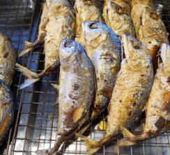 שוק הדגים של בטומי – ים רדוד - 7